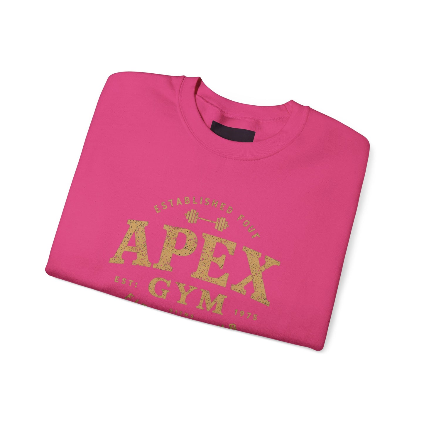 "Apex Gym Established 1975"