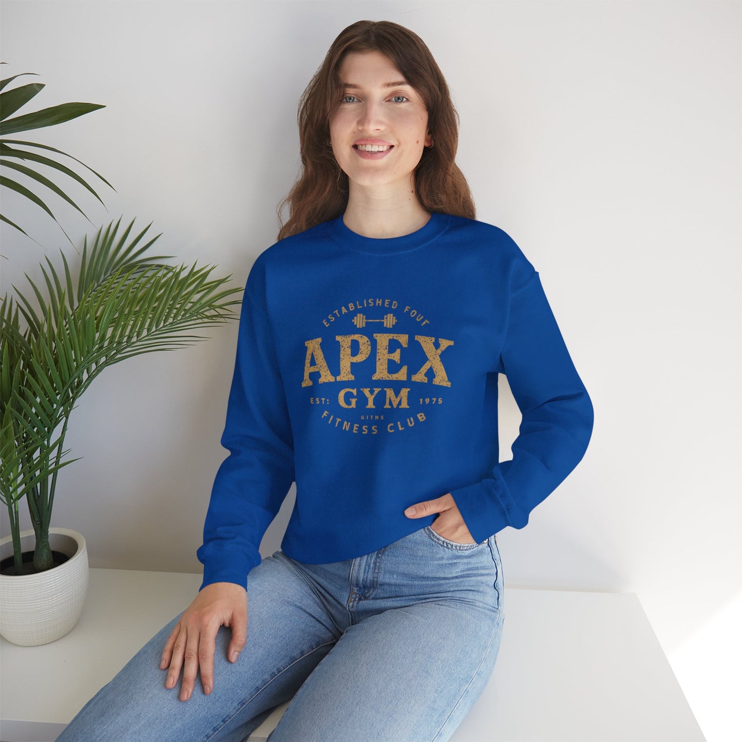 "Apex Gym Established 1975"