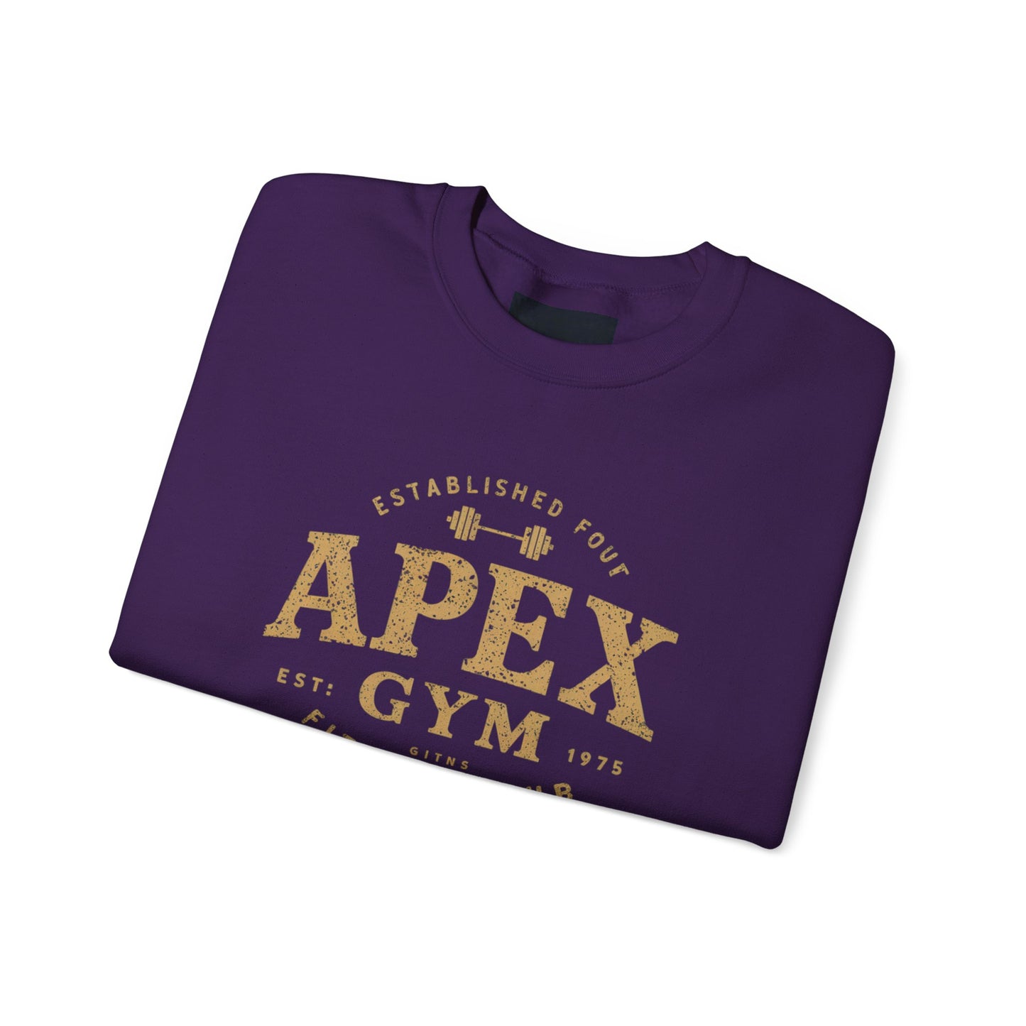 "Apex Gym Established 1975"